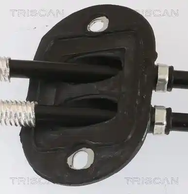 TRISCAN 8140 16729