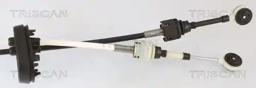 TRISCAN 8140 24715
