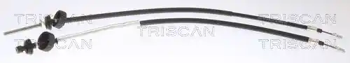 TRISCAN 8140 251259