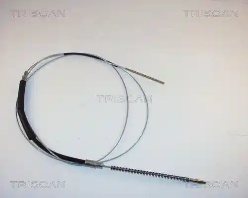 TRISCAN 8140 29118