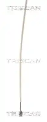 TRISCAN 8140 29179