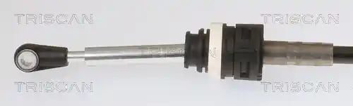 TRISCAN 8140 29711