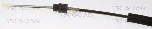 TRISCAN 8140 29720