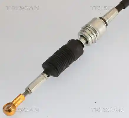 TRISCAN 8140 29722