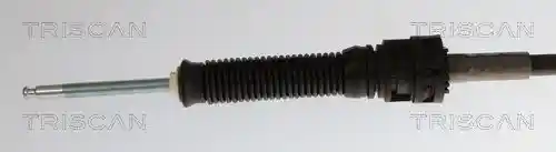 TRISCAN 8140 29729