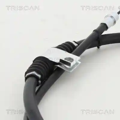 TRISCAN 8140 421110