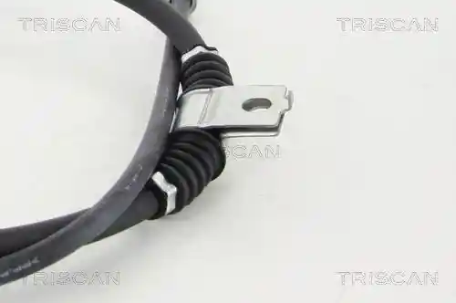 TRISCAN 8140 421124