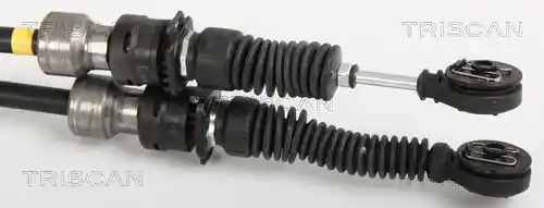 TRISCAN 8140 50701