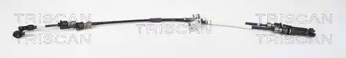 TRISCAN 8140 50705