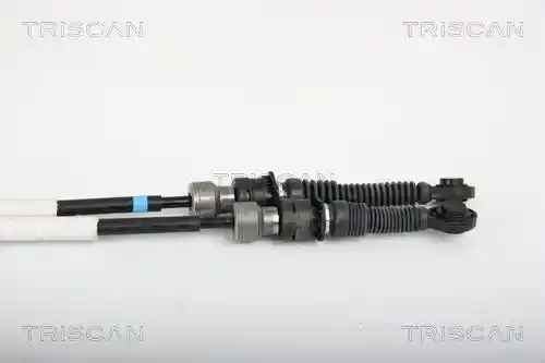 TRISCAN 8140 50705