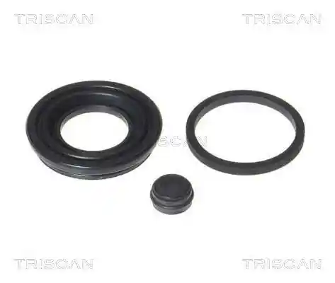 TRISCAN 8170 189906 TRISCAN 8170 189906