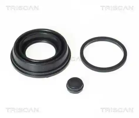 TRISCAN 8170 189907