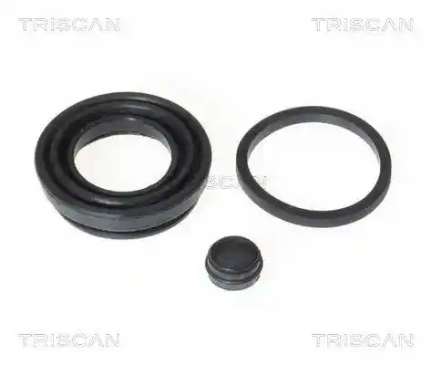 TRISCAN 8170 189911