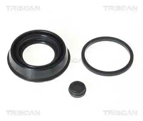TRISCAN 8170 189920 TRISCAN 8170 189920