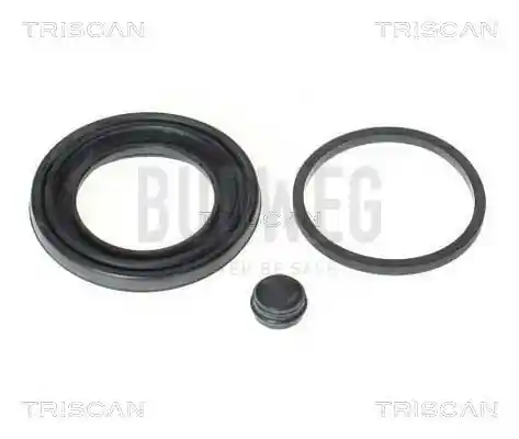 TRISCAN 8170 189938 TRISCAN 8170 189938