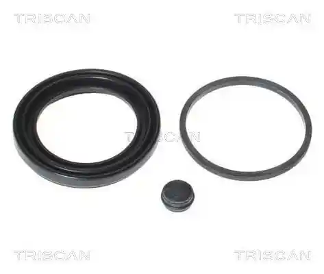 TRISCAN 8170 189951 TRISCAN 8170 189951