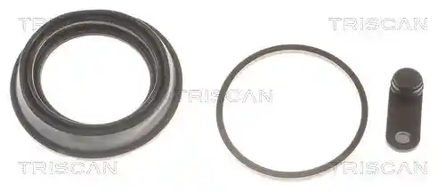 TRISCAN 8170 189963