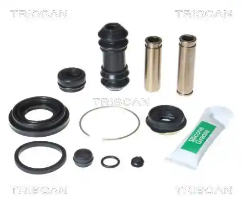 TRISCAN 8170 203013