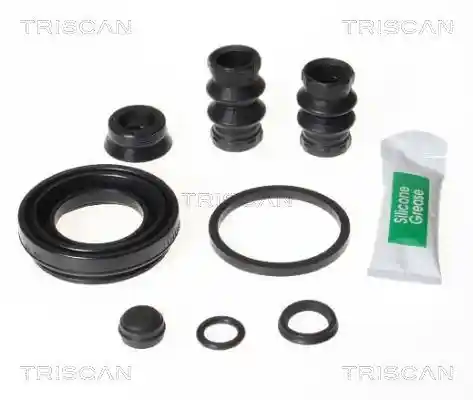 TRISCAN 8170 203843 TRISCAN 8170 203843