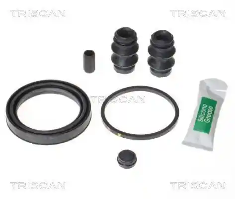 TRISCAN 8170 205490 TRISCAN 8170 205490