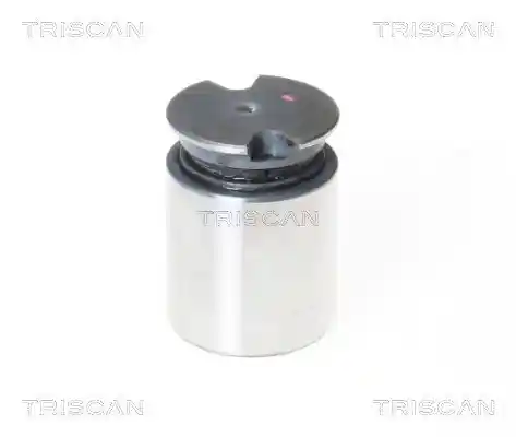 TRISCAN 8170 233634 TRISCAN 8170 233634