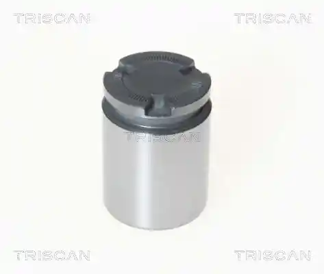 TRISCAN 8170 233856