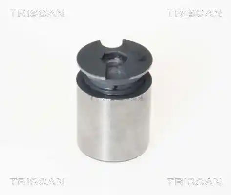 TRISCAN 8170 233863
