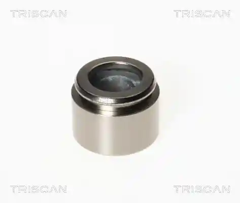 TRISCAN 8170 234043