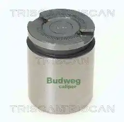 TRISCAN 8170 234101 TRISCAN 8170 234101