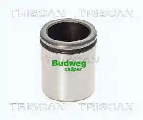 TRISCAN 8170 234856