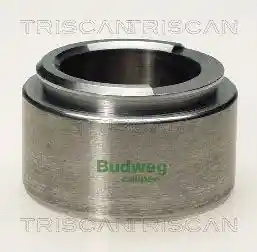 TRISCAN 8170 235407