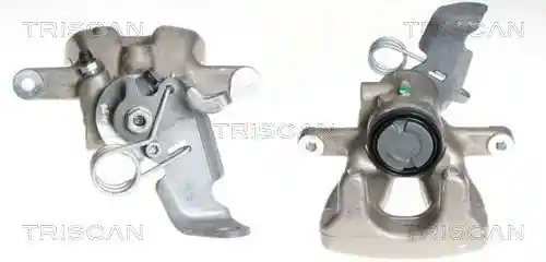 TRISCAN 8170 343787 TRISCAN 8170 343787