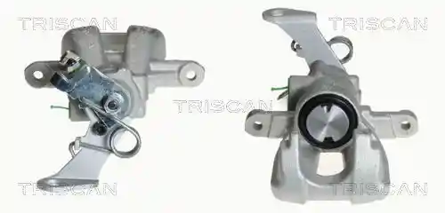 TRISCAN 8170 343987 TRISCAN 8170 343987