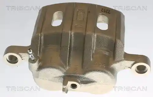 TRISCAN 8175 10101