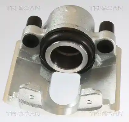 TRISCAN 8175 10105
