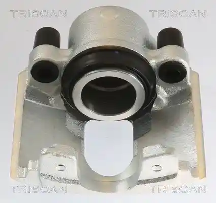 TRISCAN 8175 10106