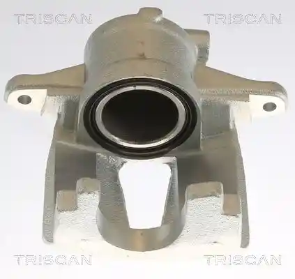 TRISCAN 8175 10110