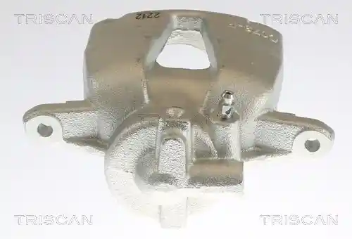 TRISCAN 8175 10110