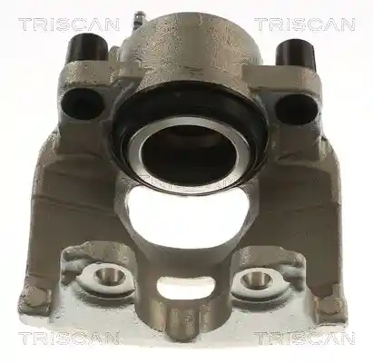 TRISCAN 8175 10111