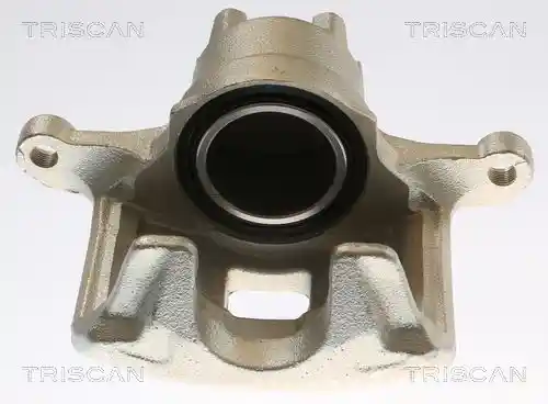 TRISCAN 8175 10135