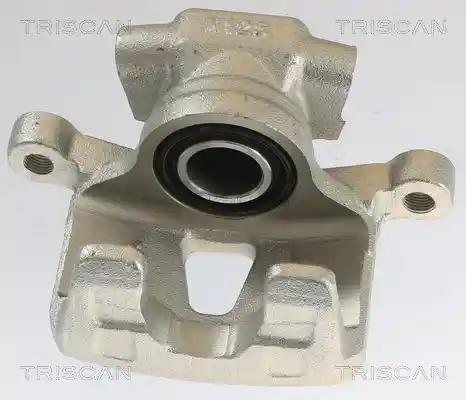 TRISCAN 8175 10213