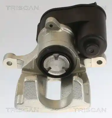 TRISCAN 8175 10215