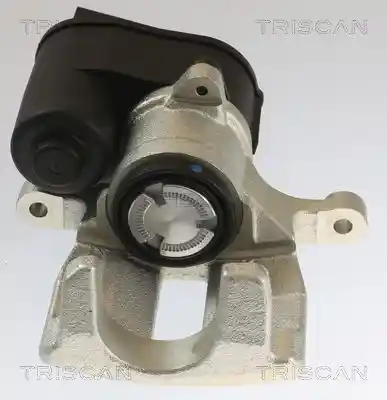 TRISCAN 8175 10216