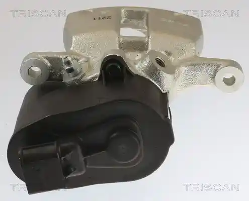 TRISCAN 8175 10216