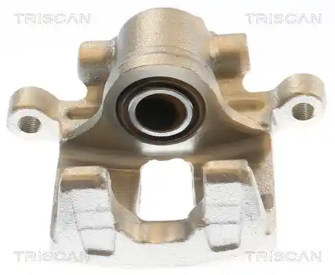 TRISCAN 8175 10243