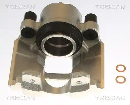 TRISCAN 8175 13103
