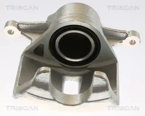 TRISCAN 8175 13109