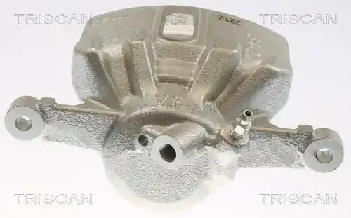 TRISCAN 8175 13110