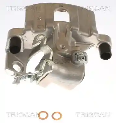 TRISCAN 8175 13207
