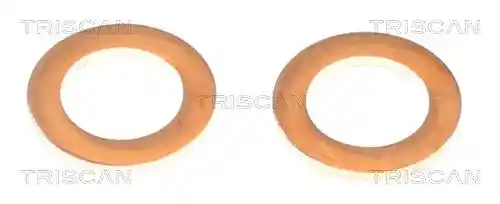 TRISCAN 8175 13207